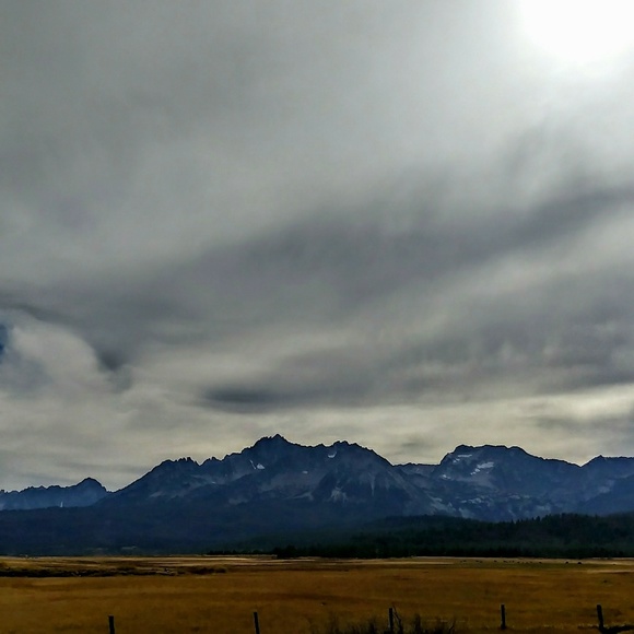 Meet your Posher 🌷POSH AMBASSADOR🌷 - Picture 3 of 9